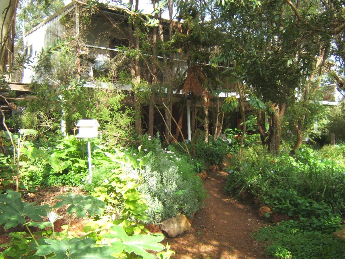 Whispering Pines Bed And Breakfast Collie Eksteriør billede